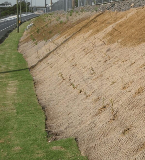 Coir and Jute Mats